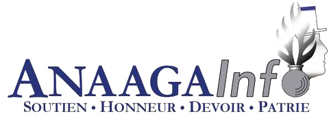 Logo Anaaga Info